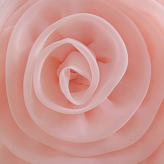 Rochița Rosa – Descoperă farmecul floral! [5]