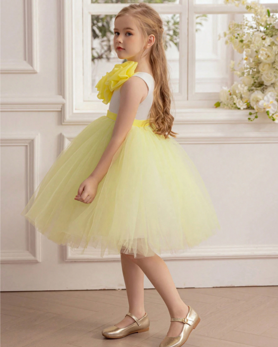 Rochita Pixie [2]