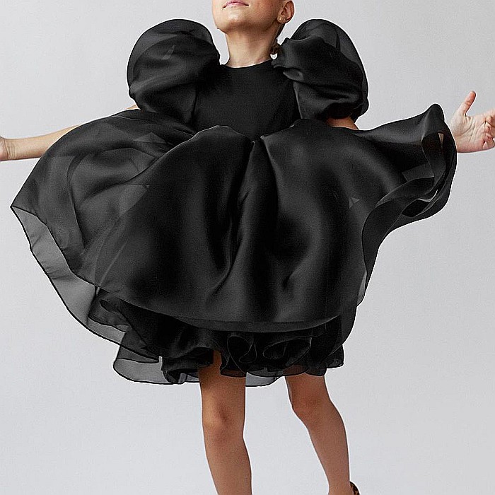 Rochita Black Swan [2]
