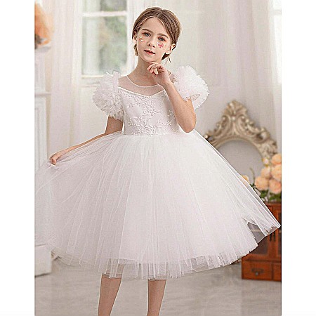 Rochita Sara (Alb) [7]