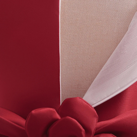 Rochita Ilaria (Rosu) [2]