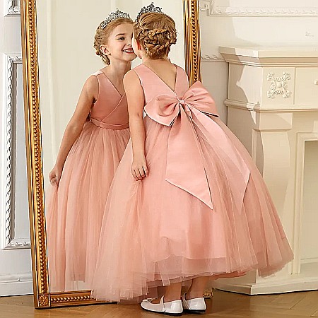 Rochita Clementina (Roz-Pudra) [6]