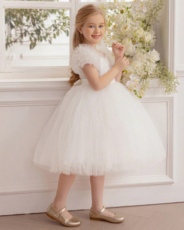 Rochita Sara (Alb) [3]