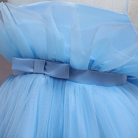 Rochita Antoaneta (Bleu) [5]