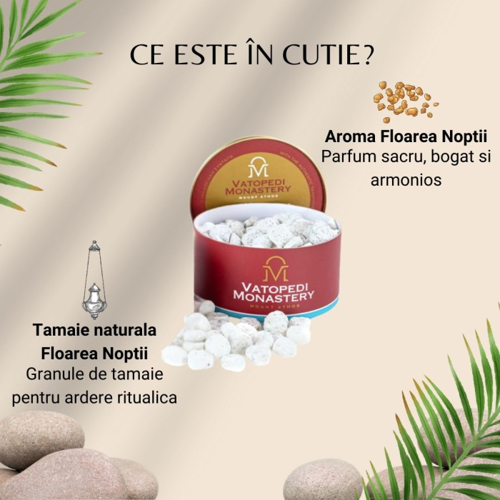 Cutie De Tamaie 10*100 Gr - Floarea Noptii [3]