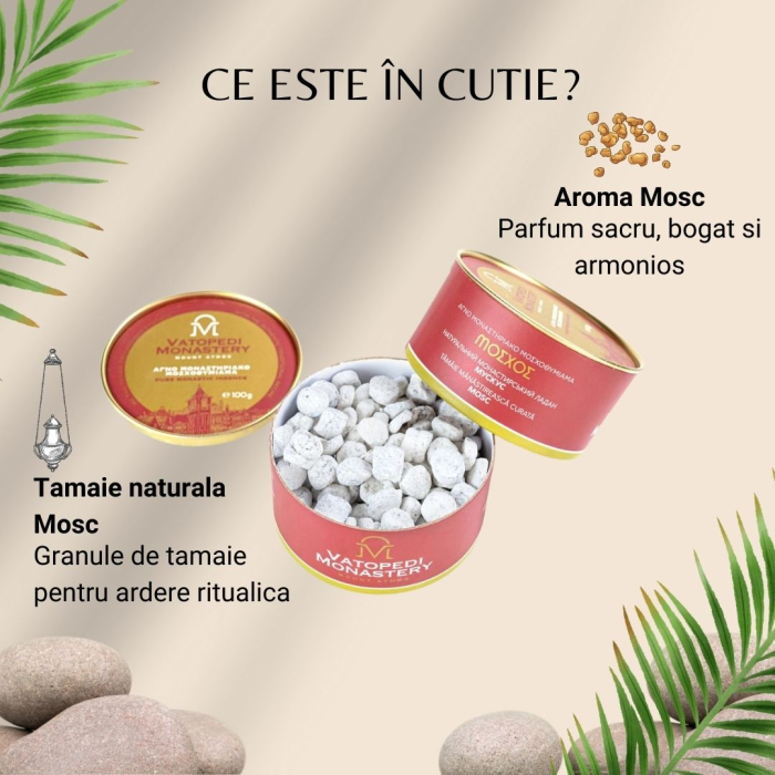 Cutie De Tamaie 10*100 Gr - Mosc [3]