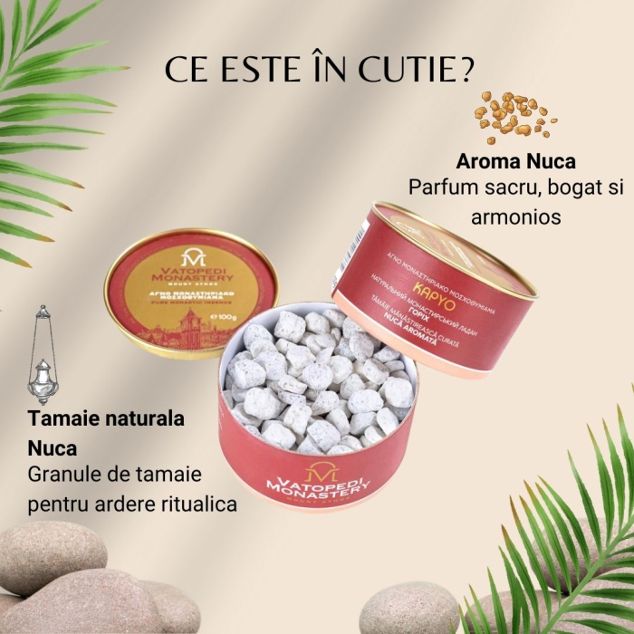 Cutie De Tamaie 10*100 Gr - Nuca [3]