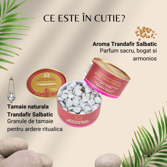 Cutie De Tamaie 10*100 Gr - Trandafir Salbatic [3]