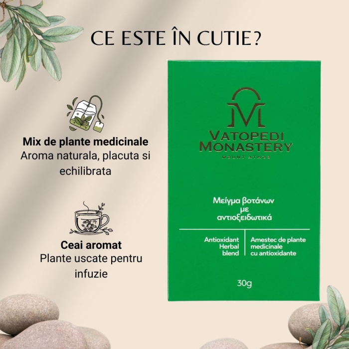 Mix De Plante Antioxidante [10]