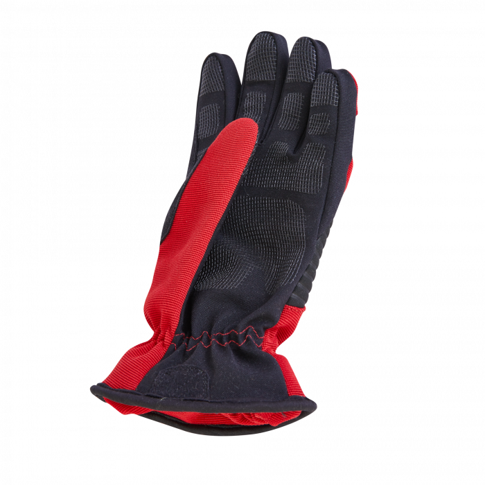 Manusi de protectie GLOROS T1 [2]