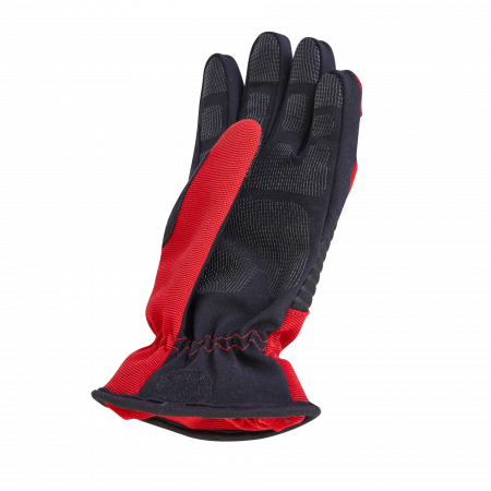 Manusi de protectie GLOROS T1 [1]