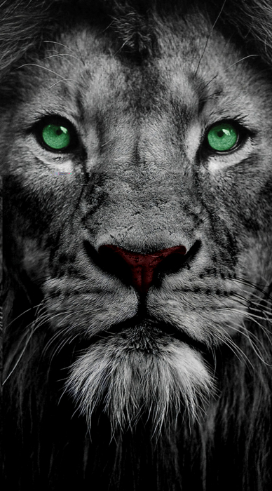 Leu cu ochi verzi, putere sălbatică [1]