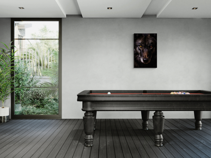 Lup sălbatic, privire fierbinte [3]