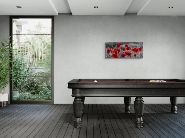 Maci roșii, câmp de vis [3]