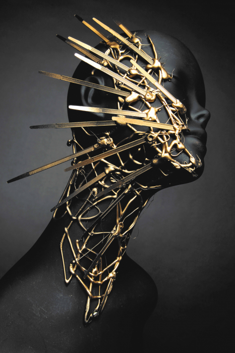 Metamorfoză de aur [1]