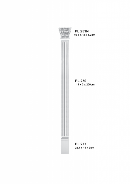 Set 1-  complet pilastru PL 250 [1]