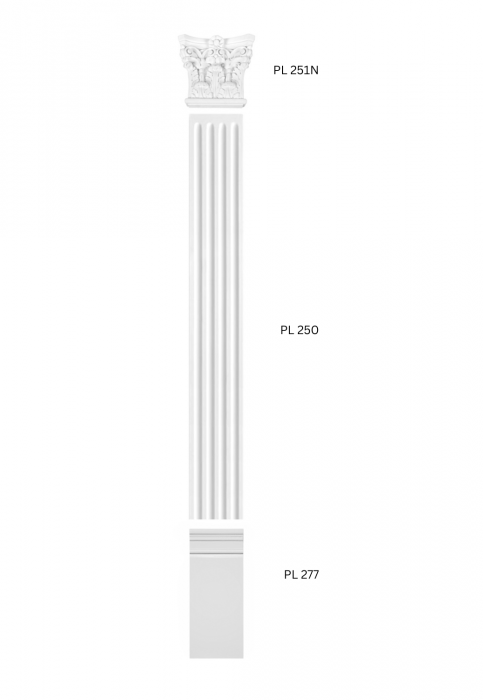Set 1-  complet pilastru PL 250 [3]
