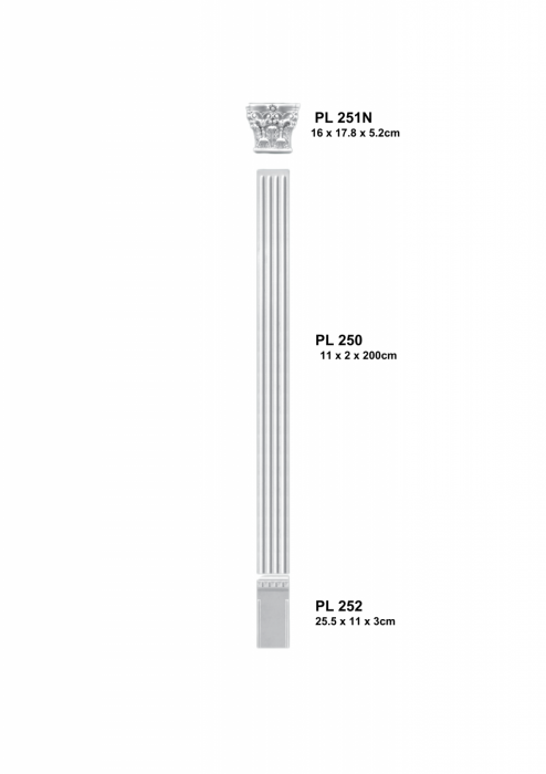 Set 2- set complet pilastru PL 250 [1]