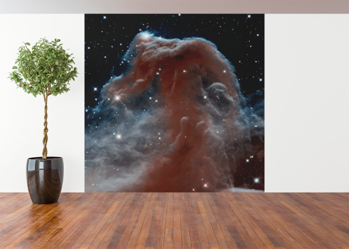 Tablou canvas "Nebuloasa Cap de cal " 50 x 50 cm [5]