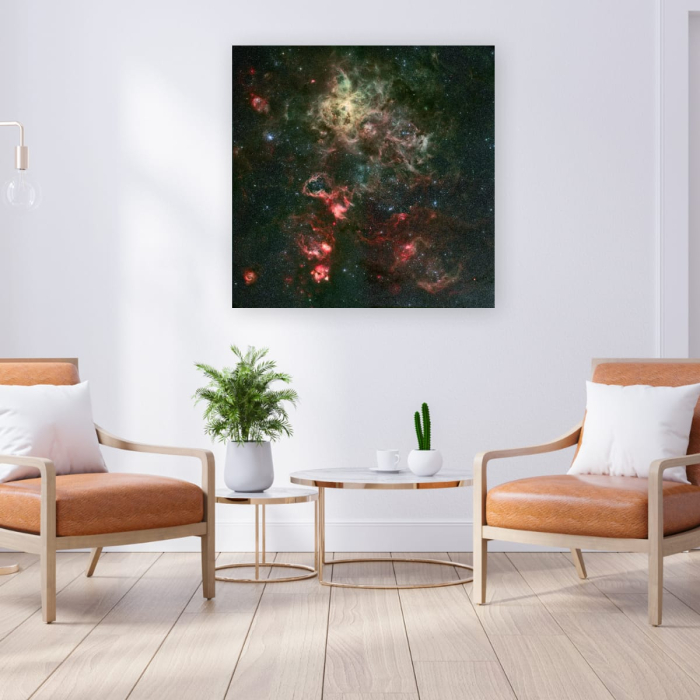 Tablou canvas "Portretul unui leagăn stelar" [3]