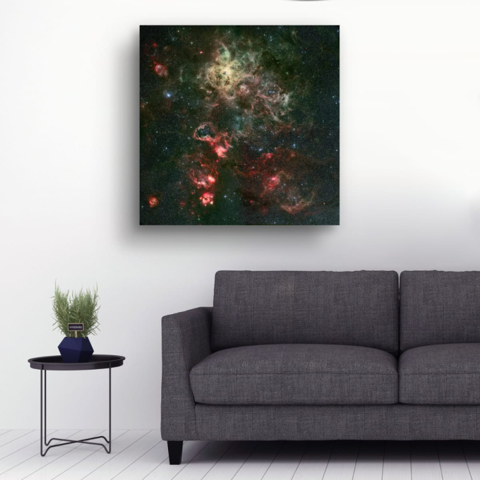 Tablou canvas "Portretul unui leagăn stelar" [2]