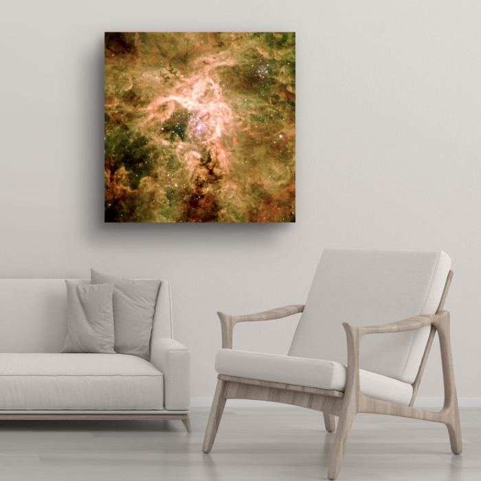 Tablou canvas "Rămășițele supernovei NGC 2060" [2]