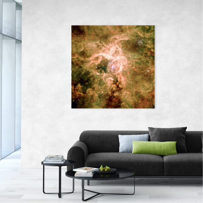 Tablou canvas "Rămășițele supernovei NGC 2060" [3]