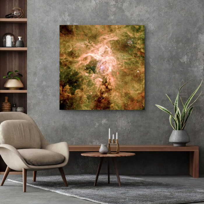 Tablou canvas "Rămășițele supernovei NGC 2060" [4]