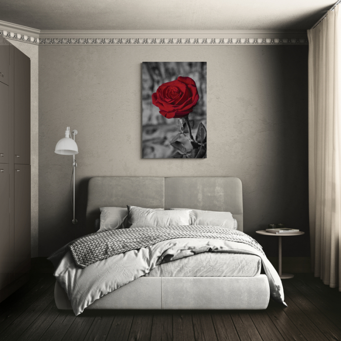 Iubire eternă trandafir roșu [3]