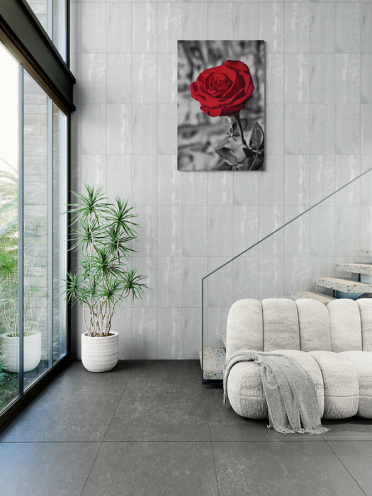 Iubire eternă trandafir roșu [2]