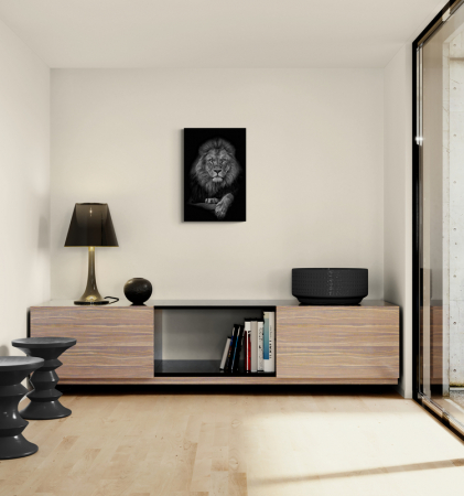 Leu, odihnă regală [1]