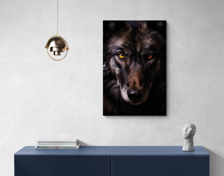 Lup sălbatic, privire fierbinte [1]