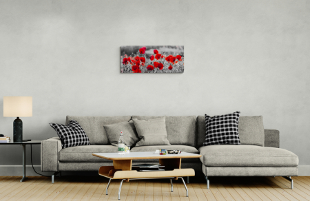 Maci roșii, câmp de vis [1]