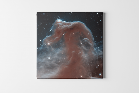 Tablou canvas "Nebuloasa Cap de cal " 50 x 50 cm [1]