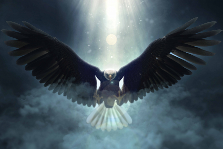 Tablouri Chic și Glam - Zborul libertății