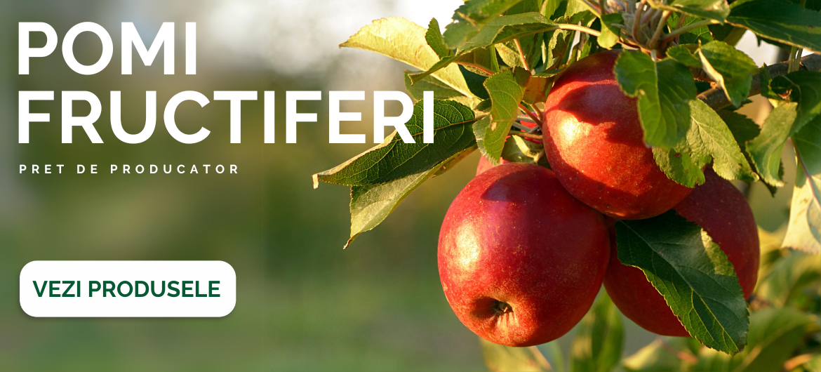 Pomi fructiferi