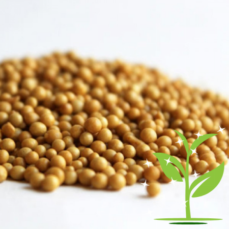 Ingrasamant - Ingrasamant pentru plante - 500g