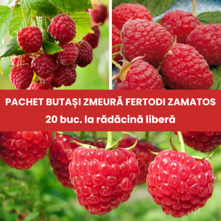 Pachete promotionale - Pachet 20buc. Butași Zmeură Fertodi Zamatos