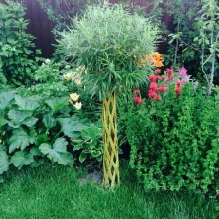 Salcie Decorativa Impletita [0]