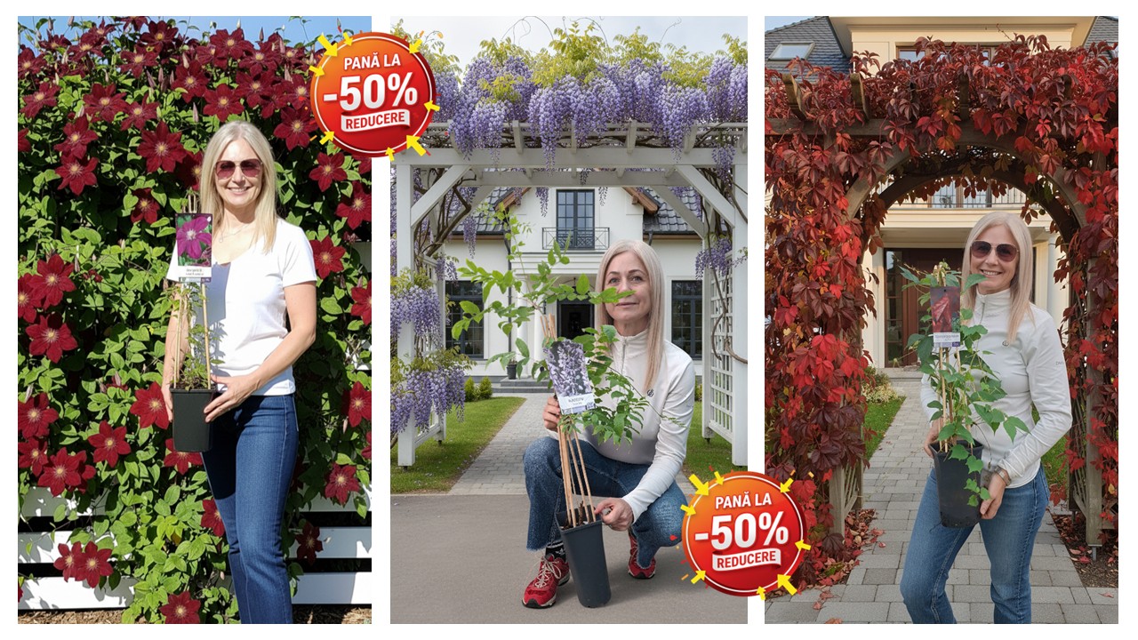 Reducere de 50% Plante Cataratoare si Fructifere