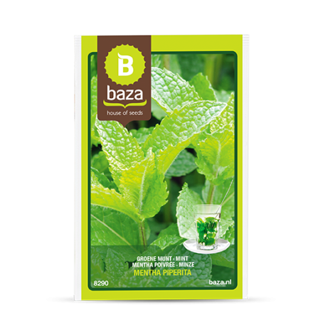 Seminte de Ierburi - Seminte Mentha Piperita - 8290
