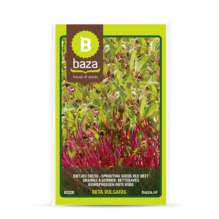 Seminte și Bulbi - Seminte Beta Vulgaris - 8328