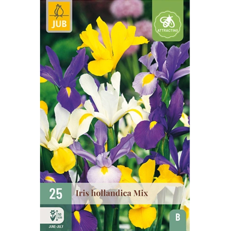 Bulbi de Irisi - Stanjenel - Pachet 25 Bulbi Irisi Hollandica Mix Jub Holland Pepiniera Sibiu