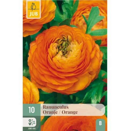 Bulbi de Ranunculus - Pachet 10 Bulbi Ranunculus Orange Piciorul-cocoșului Jub Holland Pepiniera Sibiu