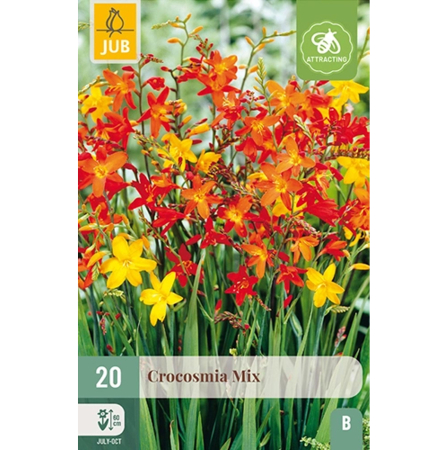 Bulbi de Crocosmia - Pachet 20 Bulbi Crocosmia Mix Montbretia Jub Holland Pepiniera Sibiu