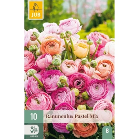 Mixuri de Bulbi - Pachet 10 Bulbi Ranunculus Pastel Mix Jub Holland Pepiniera Sibiu