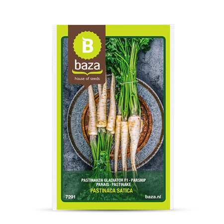 Seminte de Legume/Fructe - seminte-pastarnac-halblange-witte-semilung-pastinaca-sativa-7291-pepiniera-sibiu