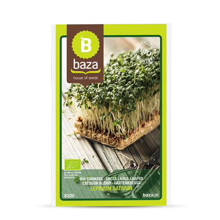 Seminte de Ierburi - seminte-creson-hrean-de-gradina-lepidium-sativum-8320-pepiniera-sibiu