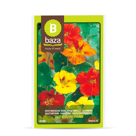 Seminte și Bulbi - seminte-condurasi-urcatori-tropaeolum-majus-mix-6590-pepiniera-sibiu