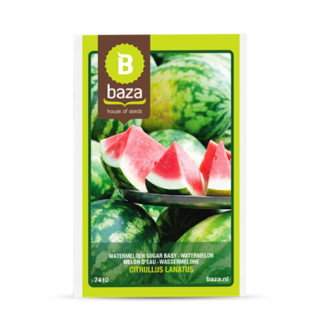 Seminte de Legume/Fructe - seminte-pepene-verde-sugar-baby-citrullus-lanatus-7410-pepiniera-sibiu